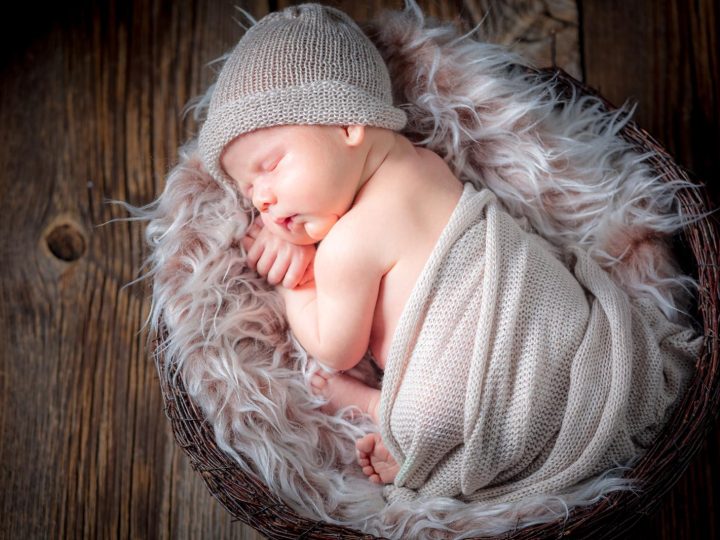 Alfiero: l’uomo dietro al successo