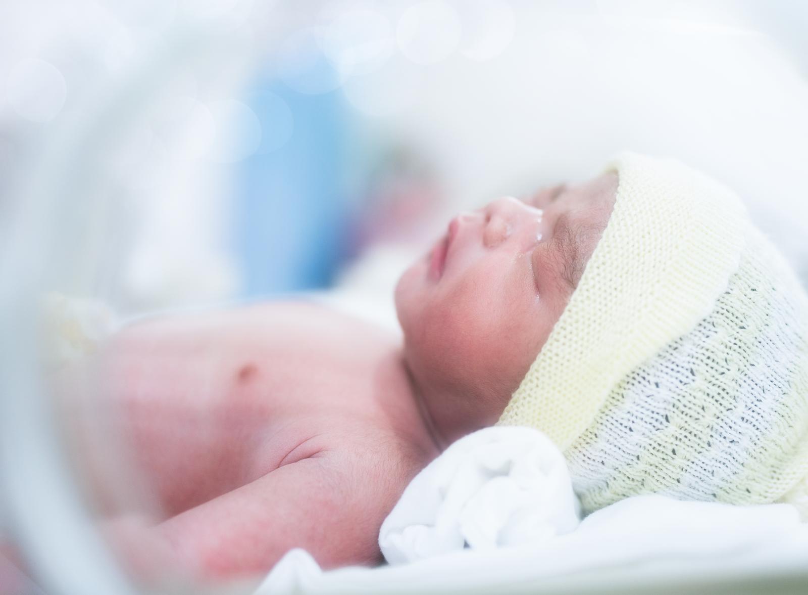 Arabella: eleganza e fascino in un nome