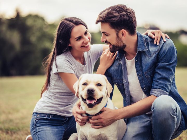 Perché il cane si mette in mezzo quando ci abbracciamo?