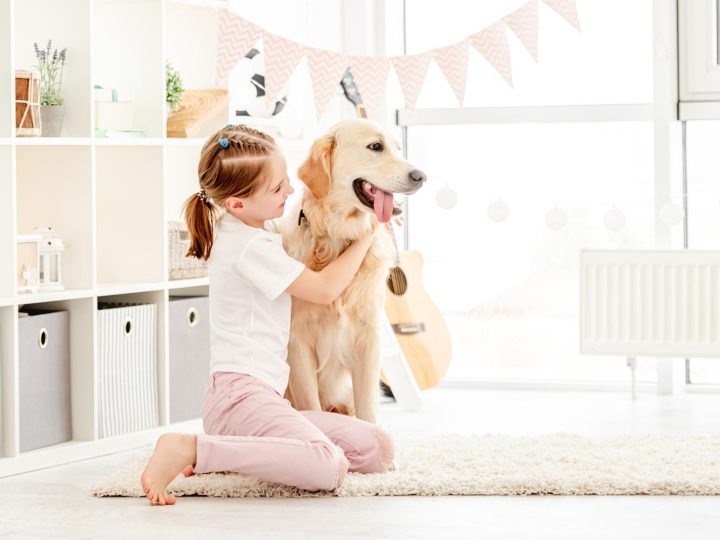 Perché il cane trema?