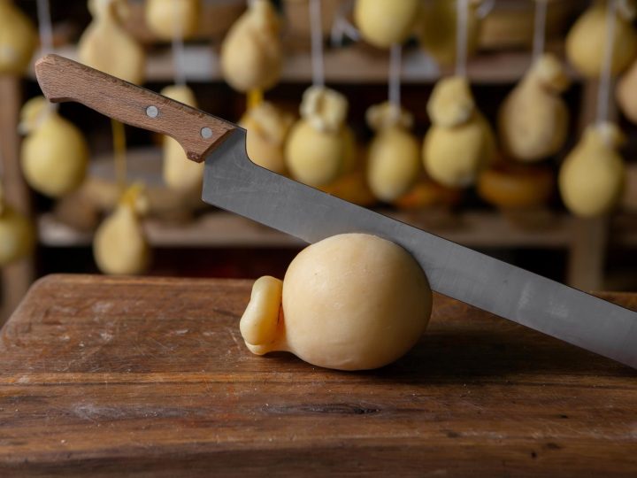 Perché si chiama caciocavallo?