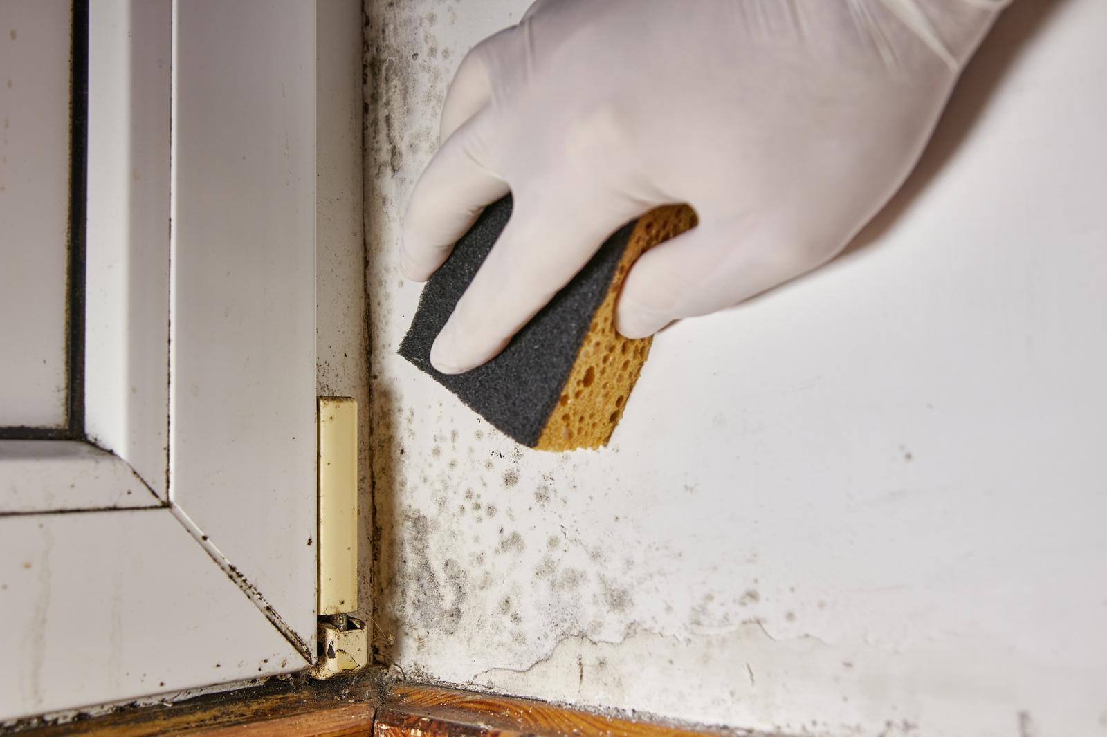 Come dire addio all’umidità in casa: trucchi e soluzioni efficaci